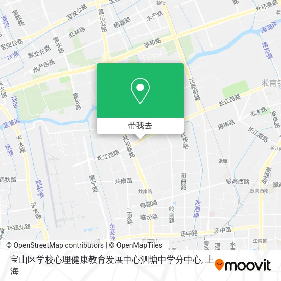 宝山区学校心理健康教育发展中心泗塘中学分中心地图