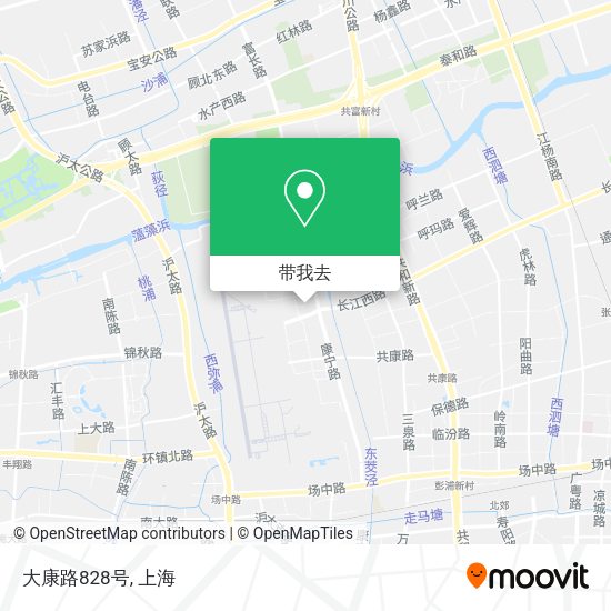 大康路828号地图