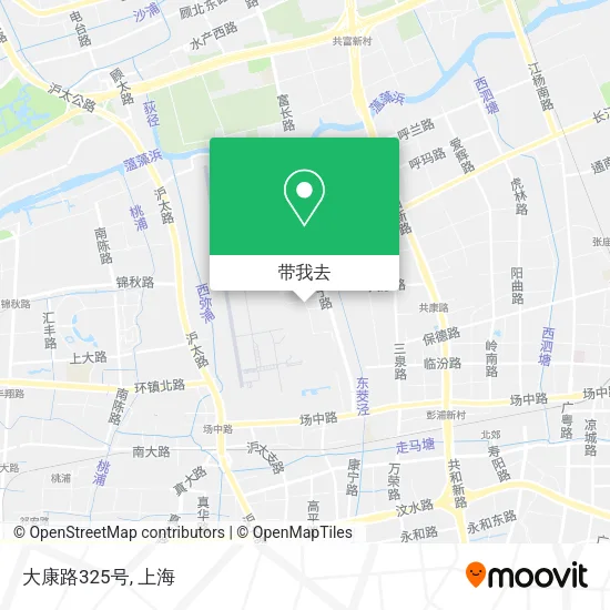 大康路325号地图