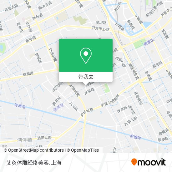 艾灸体雕经络美容地图