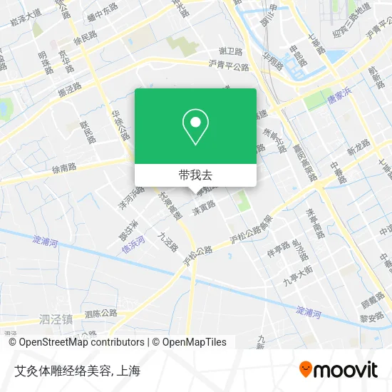 艾灸体雕经络美容地图