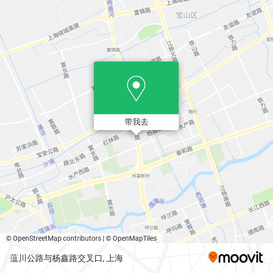 蕰川公路与杨鑫路交叉口地图