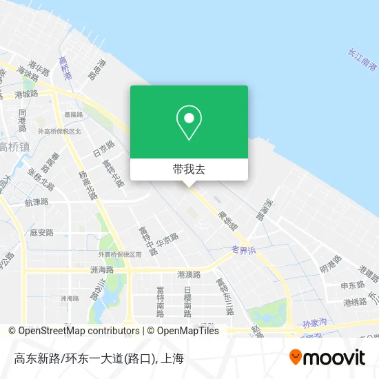 高东新路/环东一大道(路口)地图
