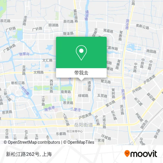 新松江路262号地图
