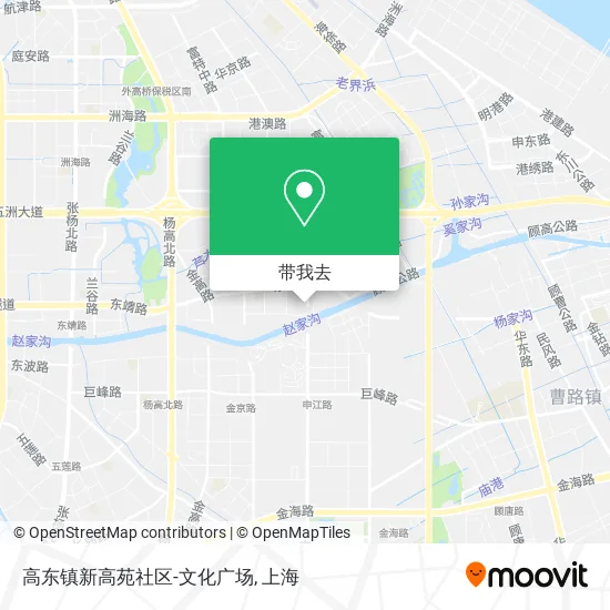 高东镇新高苑社区-文化广场地图