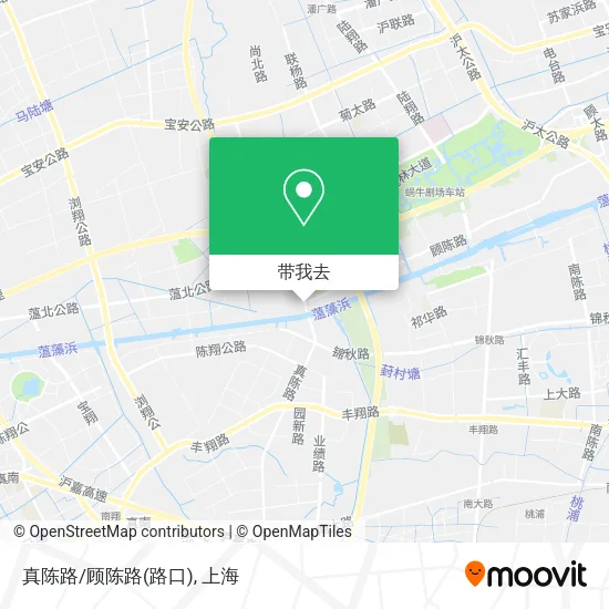 真陈路/顾陈路(路口)地图