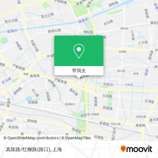 真陈路/红柳路(路口)地图