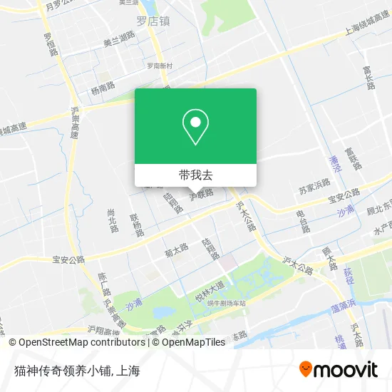 猫神传奇领养小铺地图