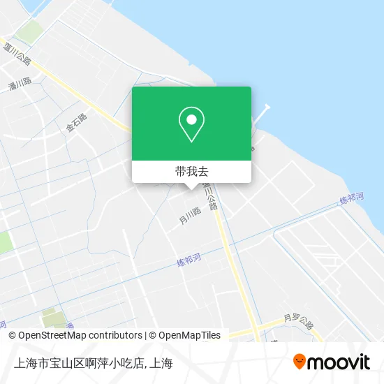 上海市宝山区啊萍小吃店地图