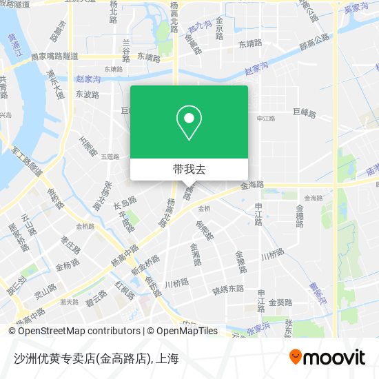 沙洲优黄专卖店(金高路店)地图