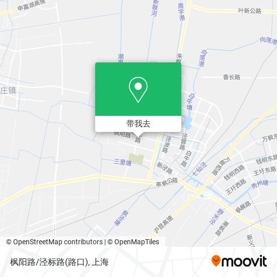 枫阳路/泾标路(路口)地图