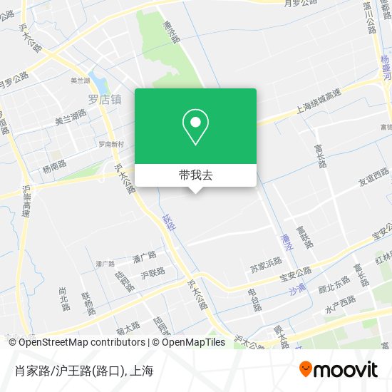 肖家路/沪王路(路口)地图