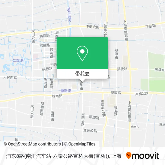 浦东8路(南汇汽车站-六奉公路宣桥大街(宣桥))地图