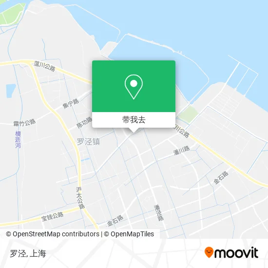 罗泾地图