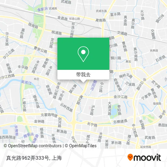 真光路962弄333号地图
