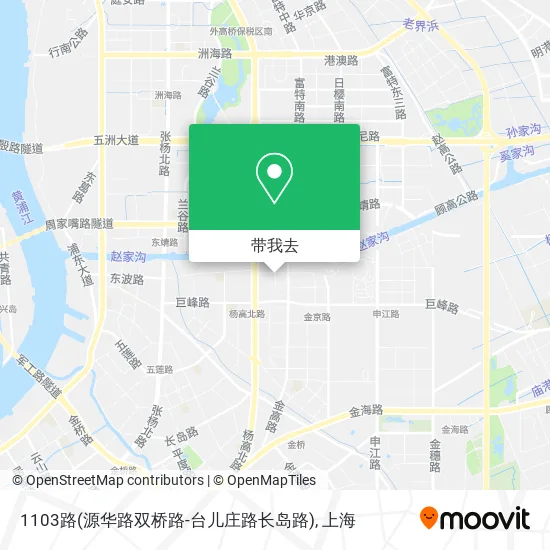 1103路(源华路双桥路-台儿庄路长岛路)地图