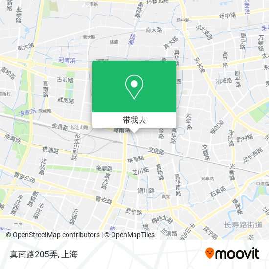 真南路205弄地图