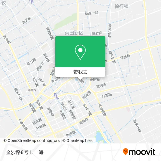 金沙路8号1地图