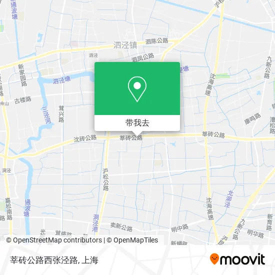 莘砖公路西张泾路地图