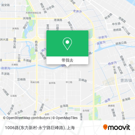 1006路(东力新村-永宁路巨峰路)地图