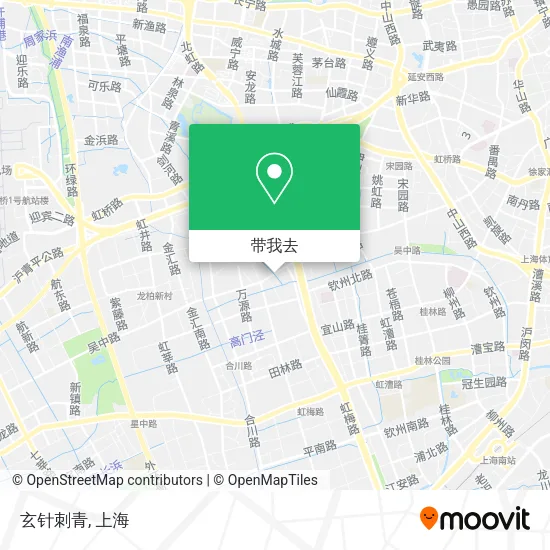 玄针刺青地图