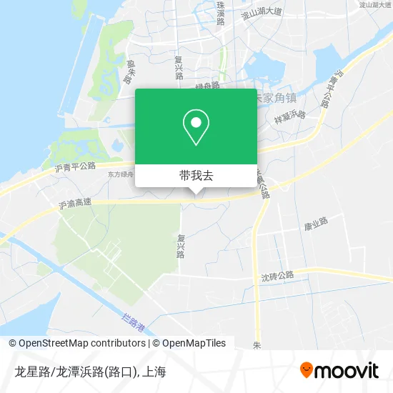 龙星路/龙潭浜路(路口)地图