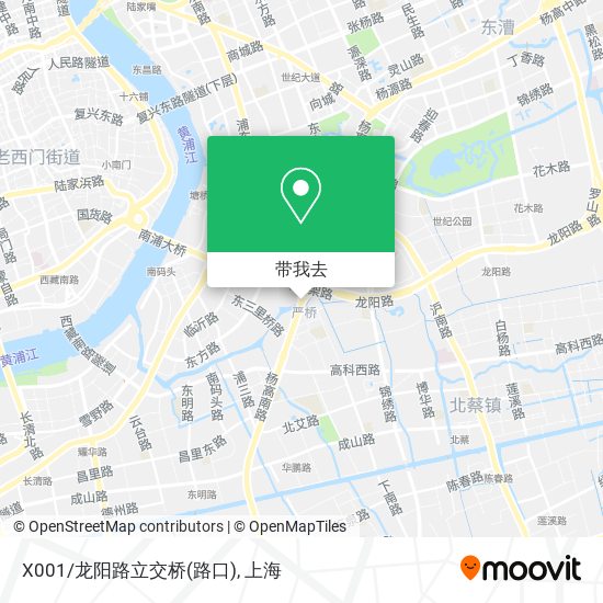 X001/龙阳路立交桥(路口)地图