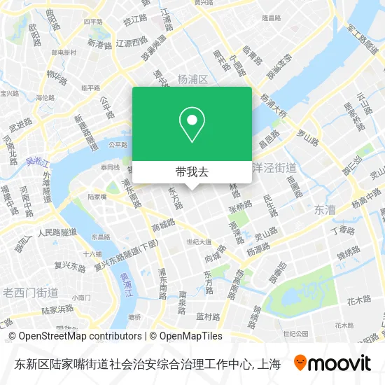 东新区陆家嘴街道社会治安综合治理工作中心地图