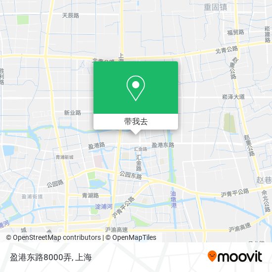 盈港东路8000弄地图