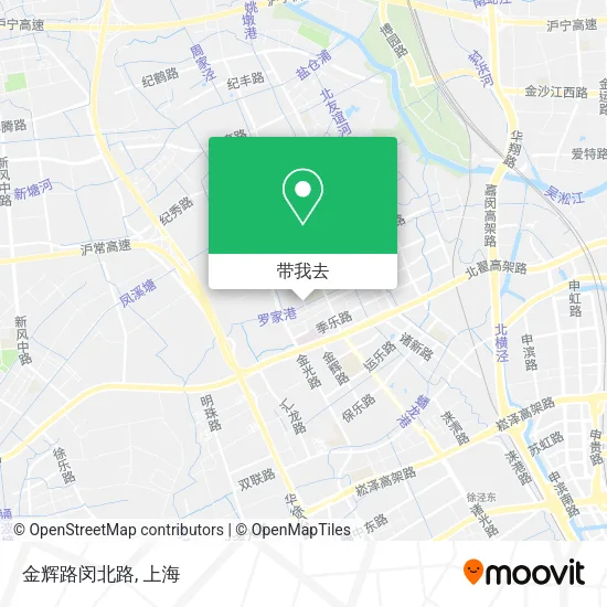 金辉路闵北路地图