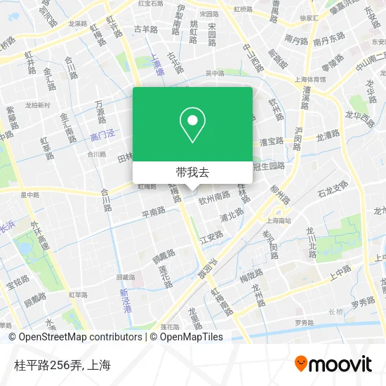 桂平路256弄地图