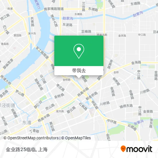 金业路25临临地图