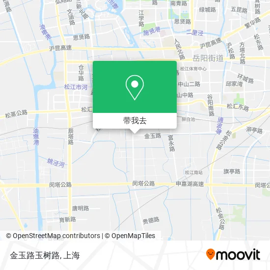 金玉路玉树路地图