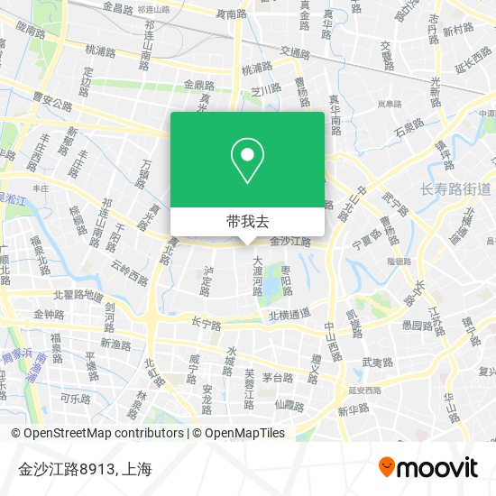 金沙江路8913地图