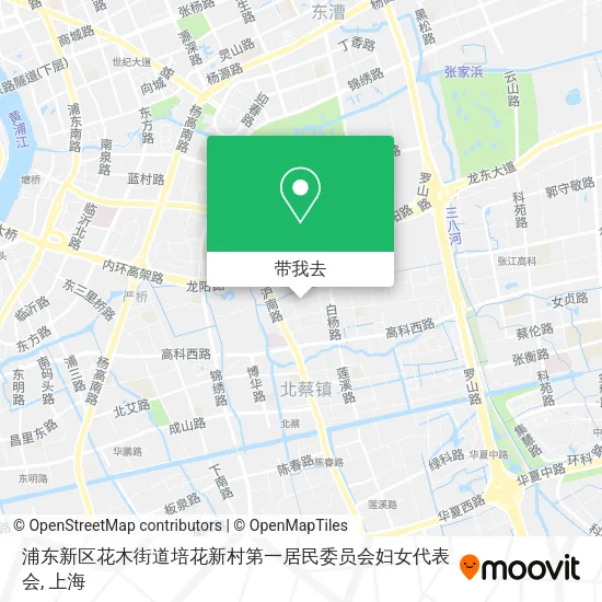 浦东新区花木街道培花新村第一居民委员会妇女代表会地图