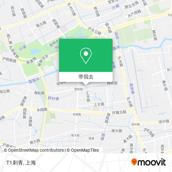 T1刺青地图