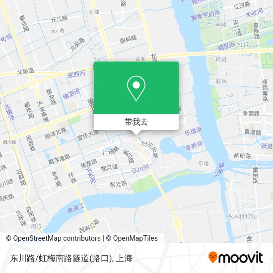 东川路/虹梅南路隧道(路口)地图