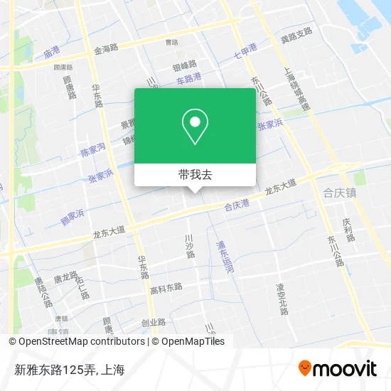 新雅东路125弄地图