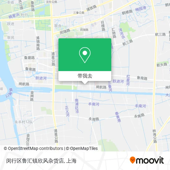 闵行区鲁汇镇欣风杂货店地图