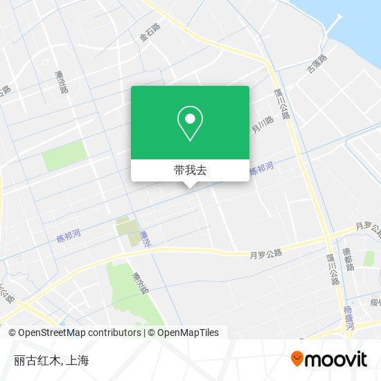 丽古红木地图