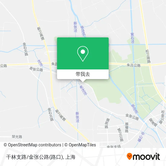 干林支路/金张公路(路口)地图