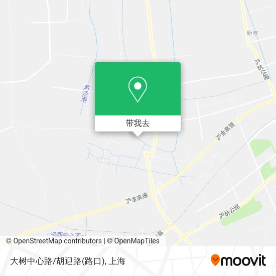 大树中心路/胡迎路(路口)地图