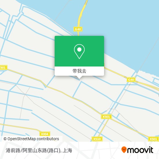 港前路/阿里山东路(路口)地图