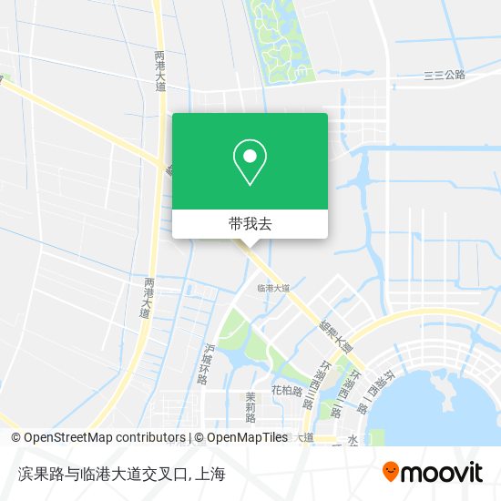 滨果路与临港大道交叉口地图