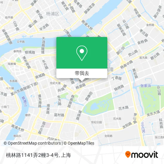 桃林路1141弄2幢3-4号地图