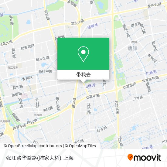 张江路华益路(陆家大桥)地图