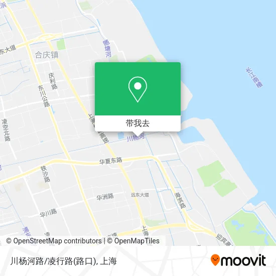 川杨河路/凌行路(路口)地图