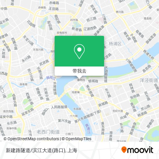 新建路隧道/滨江大道(路口)地图