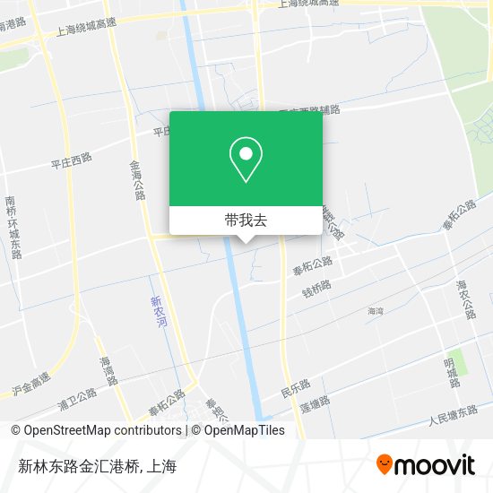 新林东路金汇港桥地图