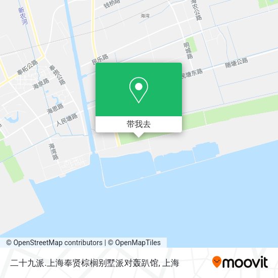 二十九派.上海奉贤棕榈别墅派对轰趴馆地图